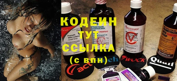 молекула духа Няндома