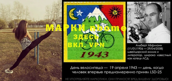 молекула духа Няндома