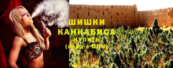 молекула духа Няндома