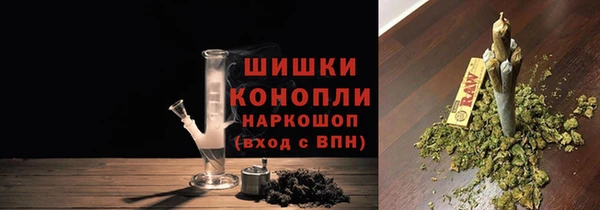винт Осташков