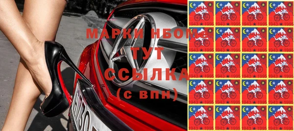 молекула духа Няндома