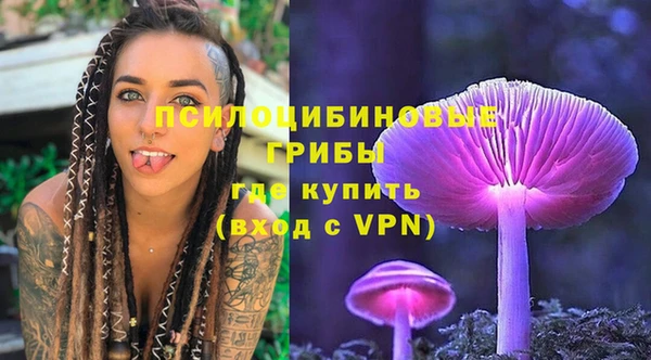 винт Осташков