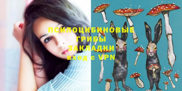 винт Осташков