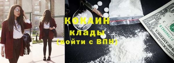 молекула духа Няндома