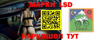 сатива Аргун
