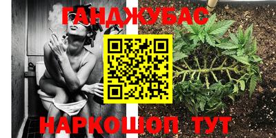 сатива Аргун