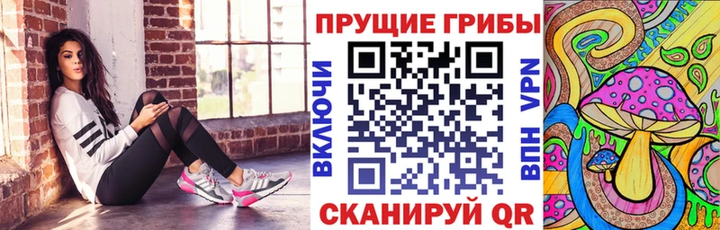 Псилоцибиновые грибы мухоморы  где можно купить наркотик  Североуральск 