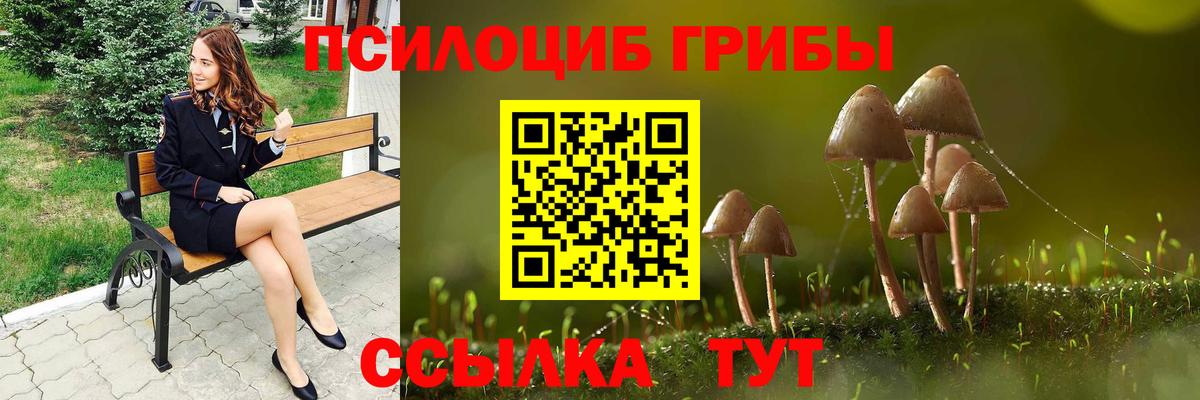 Галлюциногенные грибы мухоморы Североуральск